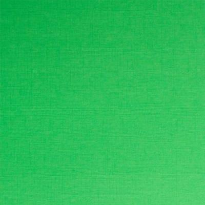 cartulina Scrapberry texturizada verde 30X30  230gr