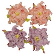 Set Gardenias Salmon y lila Scrapberrys