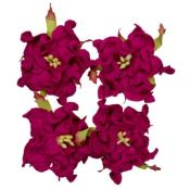Set Gardenias Rosa fuerte Scrapberrys