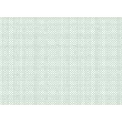 Tela Encuadernar Decorada 70x50 Lunar Mini Blanco Verde Menta