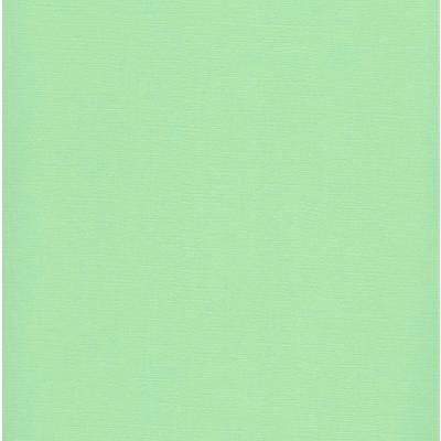 cartulina textura lienzo 216 grs. Pastel Green