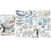 Die Cuts surtidos - arctic antarctic