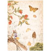  Papel Arroz   Stamperia A-4 Woodland mariposa