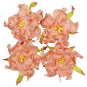Set Gardenias Salmon Scrapberrys