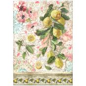  Papel Arroz  Stamperia A-4 Blue dream limones