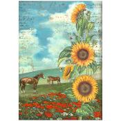  Papel Arroz   Stamperia A-4  Sunflower Art and Horses