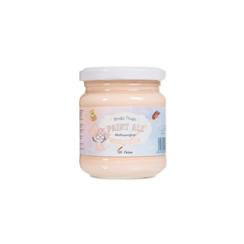 PAINT ALL 06 CARNE - 180 ML