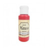 HAUSA ACRÍLICA 40 BORGOÑA - 60 ML