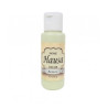 HAUSA ACRÍLICA 67 ICEBERG - 60 ML