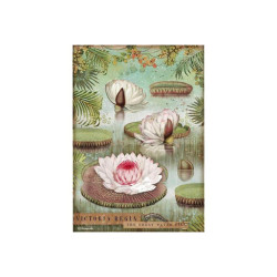 Papel arroz A4  Amazonia lirio de agua - Stamperia