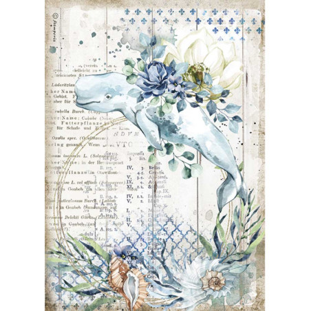 Papel arroz A4  Romantic Sea Dream baleine - Stamperia