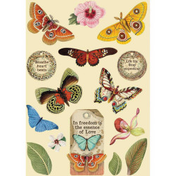 Apliques de Madera Stamperia A-5 Amazonia Butterfly