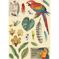 Apliques de Madera Stamperia A-5 Amazonia Parrot