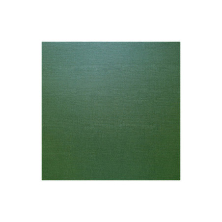 Hoja Cartulina Perlada Scrapberry's 30x30 cms. 216 grs. Dark Green