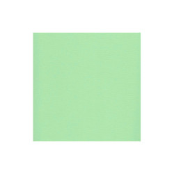 Hoja Cartulina Texturizada 30x30 cms. 216 grs. Scrapberry's Pastel Green