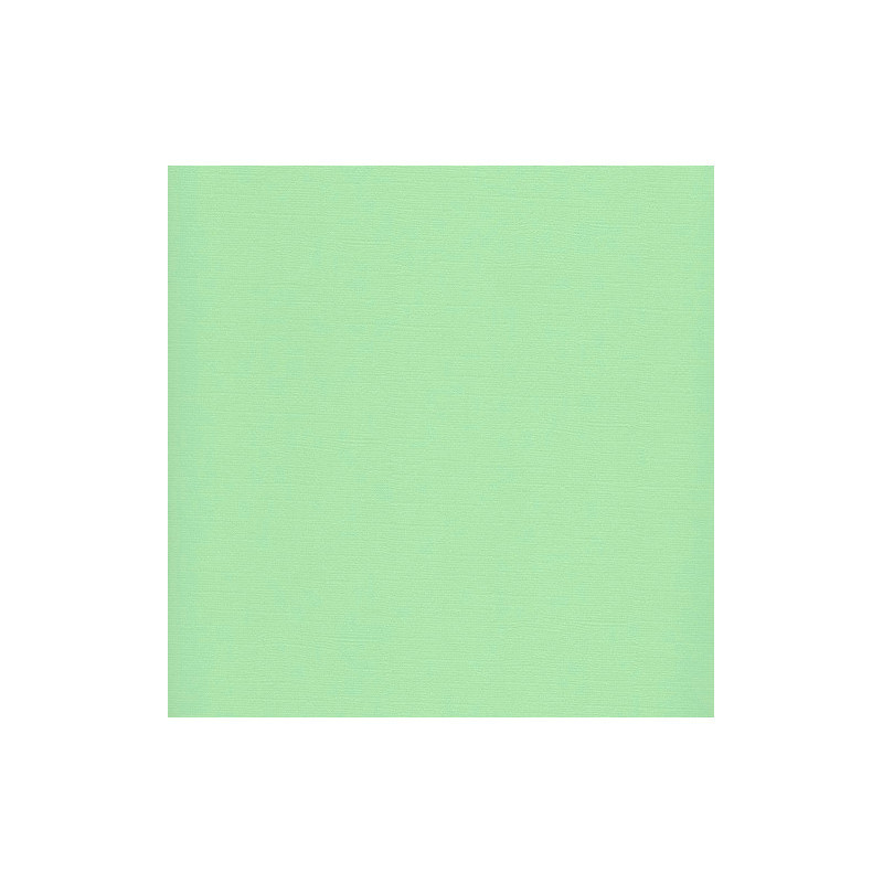 Hoja Cartulina Texturizada 30x30 cms. 216 grs. Scrapberry's Pastel Green