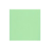 Hoja Cartulina Texturizada 30x30 cms. 216 grs. Scrapberry's Pastel Green