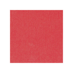 Hoja Cartulina Texturizada 30x30 cms. 230 grs. Poppy