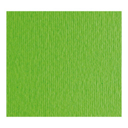 Cartulina Liso/ Rugoso 220 gr. 30.5x30.5 cms. Verde Pisello