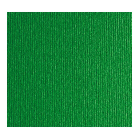 Cartulina Liso/ Rugoso 220 gr. 30.5x30.5 cms. Verde