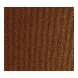 Cartulina Texturizada Liso/ Rugoso 220 gr. Marron