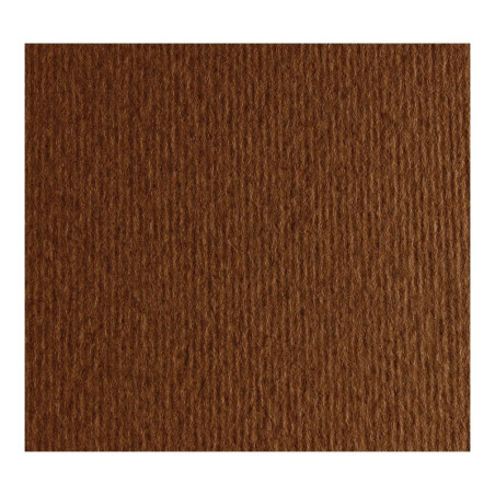 Cartulina Texturizada Liso/ Rugoso 220 gr. Marron