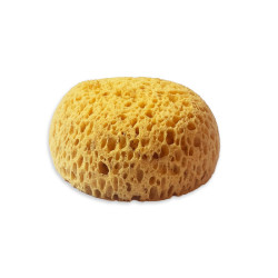 Esponja Stamperia