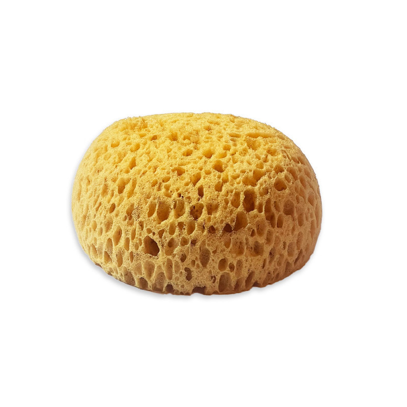 Esponja Stamperia