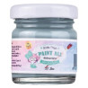 Paint All Multisuperficie Zinc Amelie 30 ml