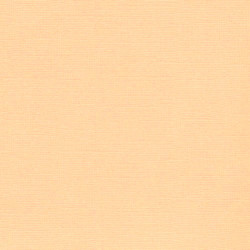 Hoja Cartulina Texturizada 30x30 cms. 216 grs. Scrapberry's Light Peach