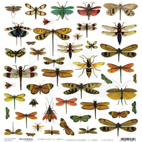 Hoja Recortables Craft O'clock 30x30 cms. Insectos