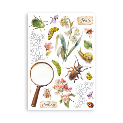 Washi pad 8 hojas A5  Stamperia All Around